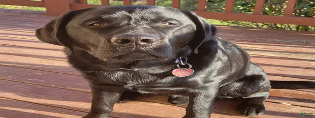Darth