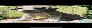 Female #2