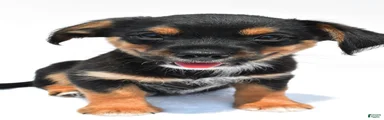 Keith