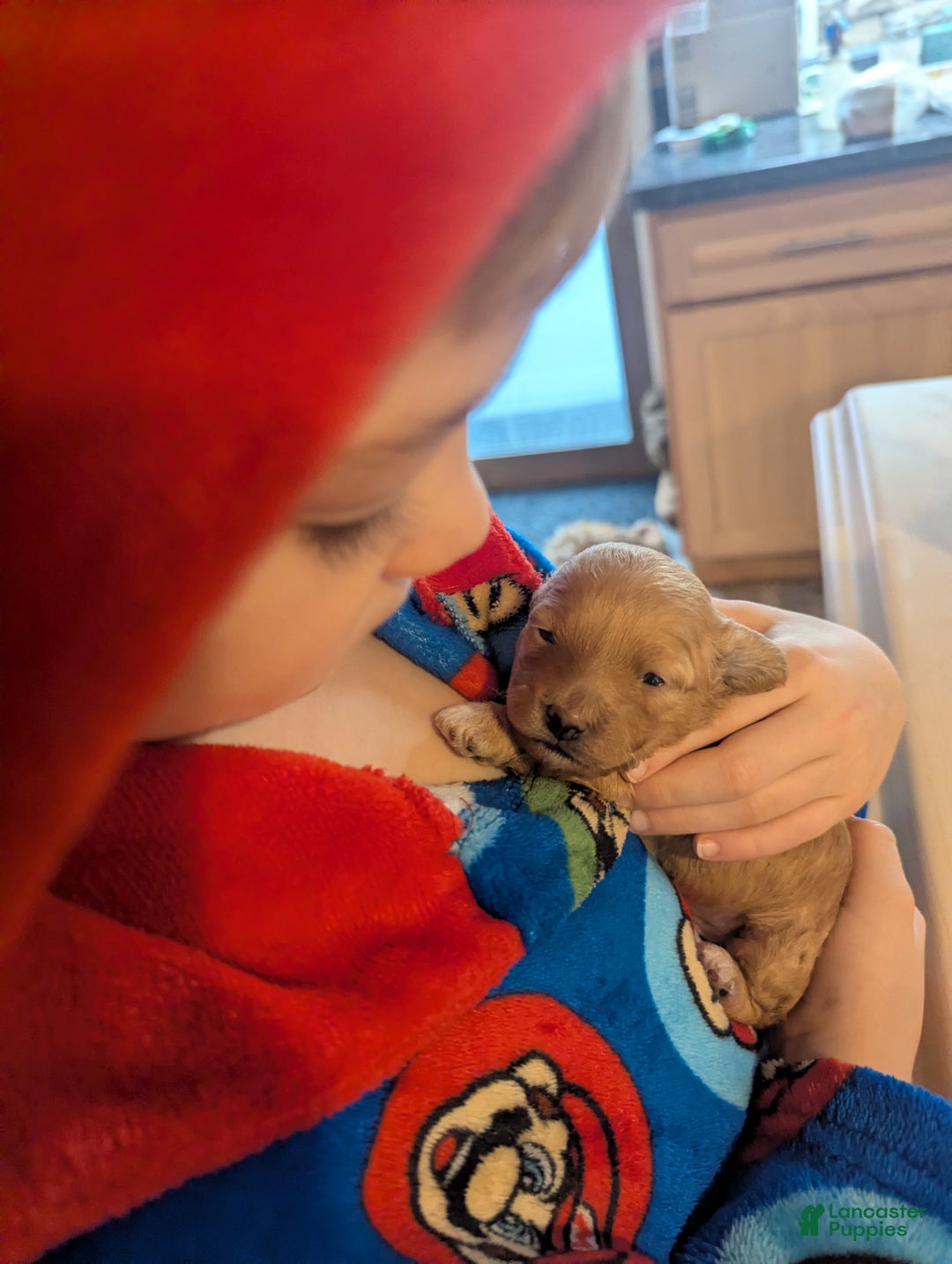 Mixed Breed dogs for sale: Luna  - Ad 14