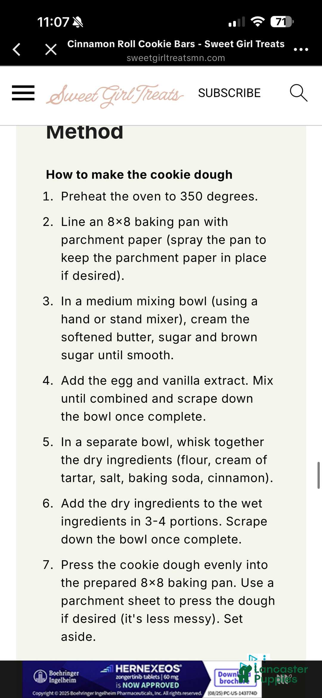 Miniature Schnauzer dogs for sale: Miniature Schnauzer Puppy 1 - Ad 4