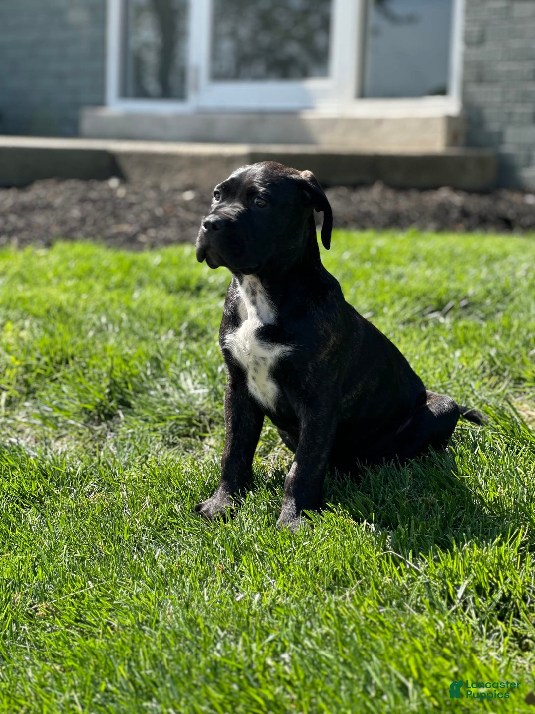 Gallery Image {{count}}