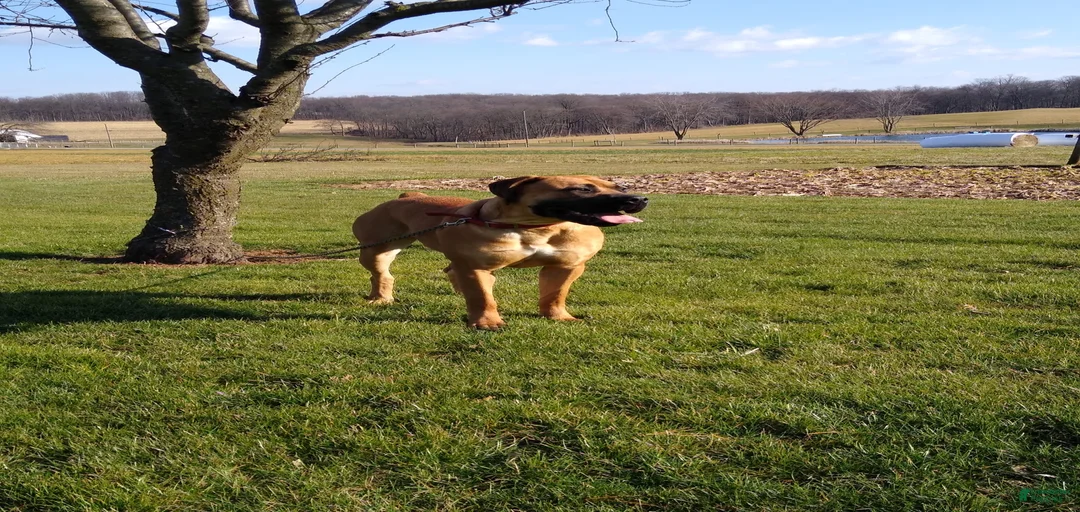 Gallery Image {{count}}