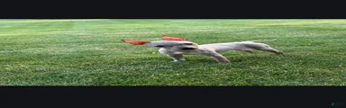 Bambi 