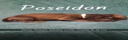 Pug dogs for sale: Poseidon  - Ad 7
