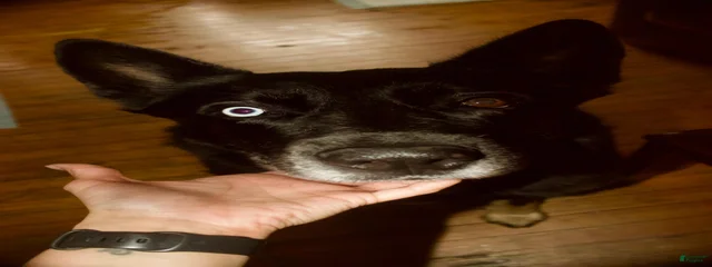 Bjorn