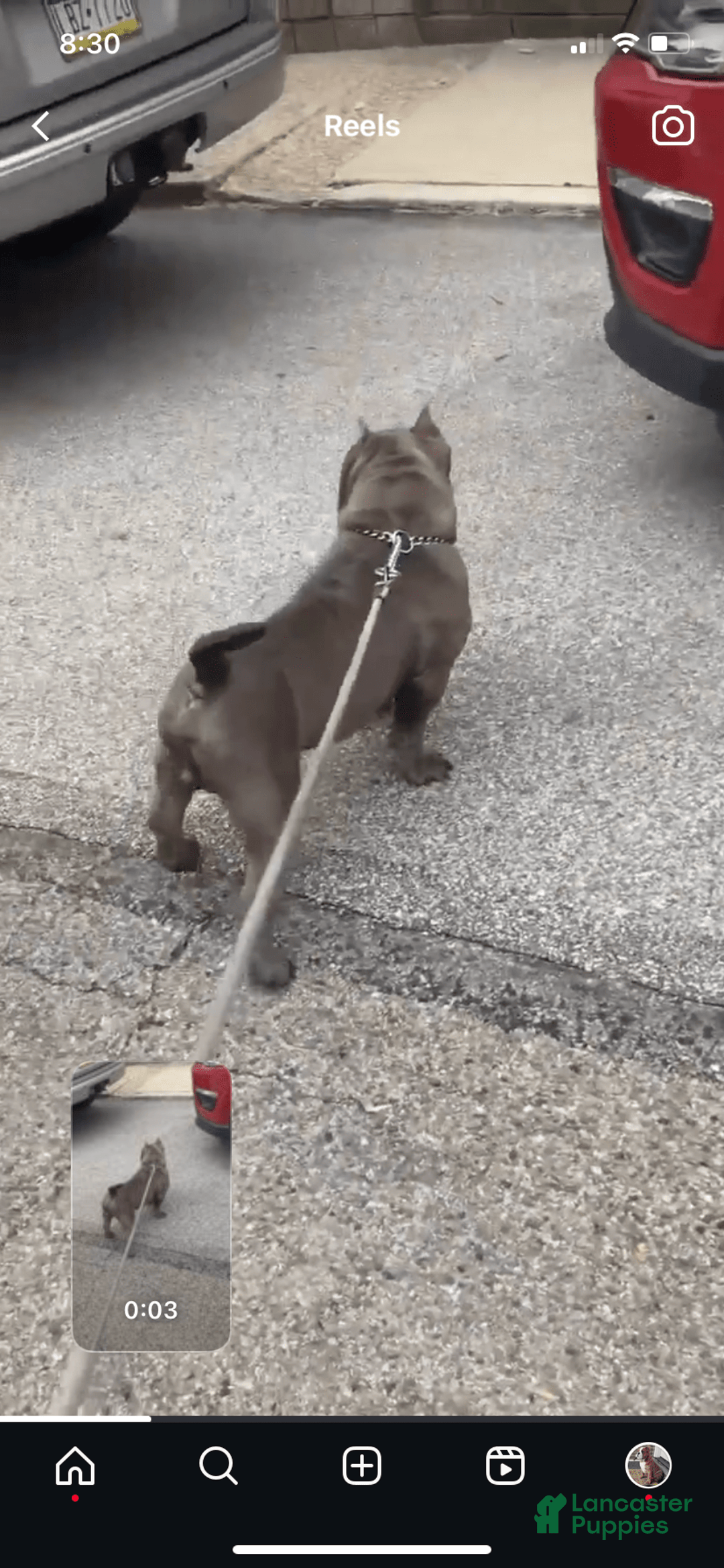 Gallery Image {{count}}