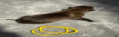 Yellow Collar