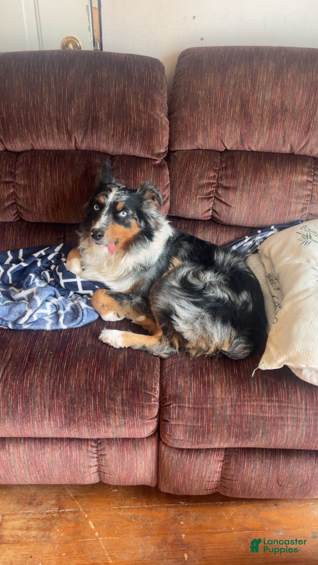 Tucker