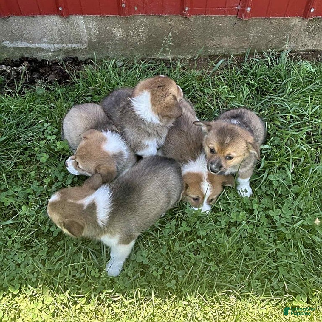 Gallery Image {{count}}