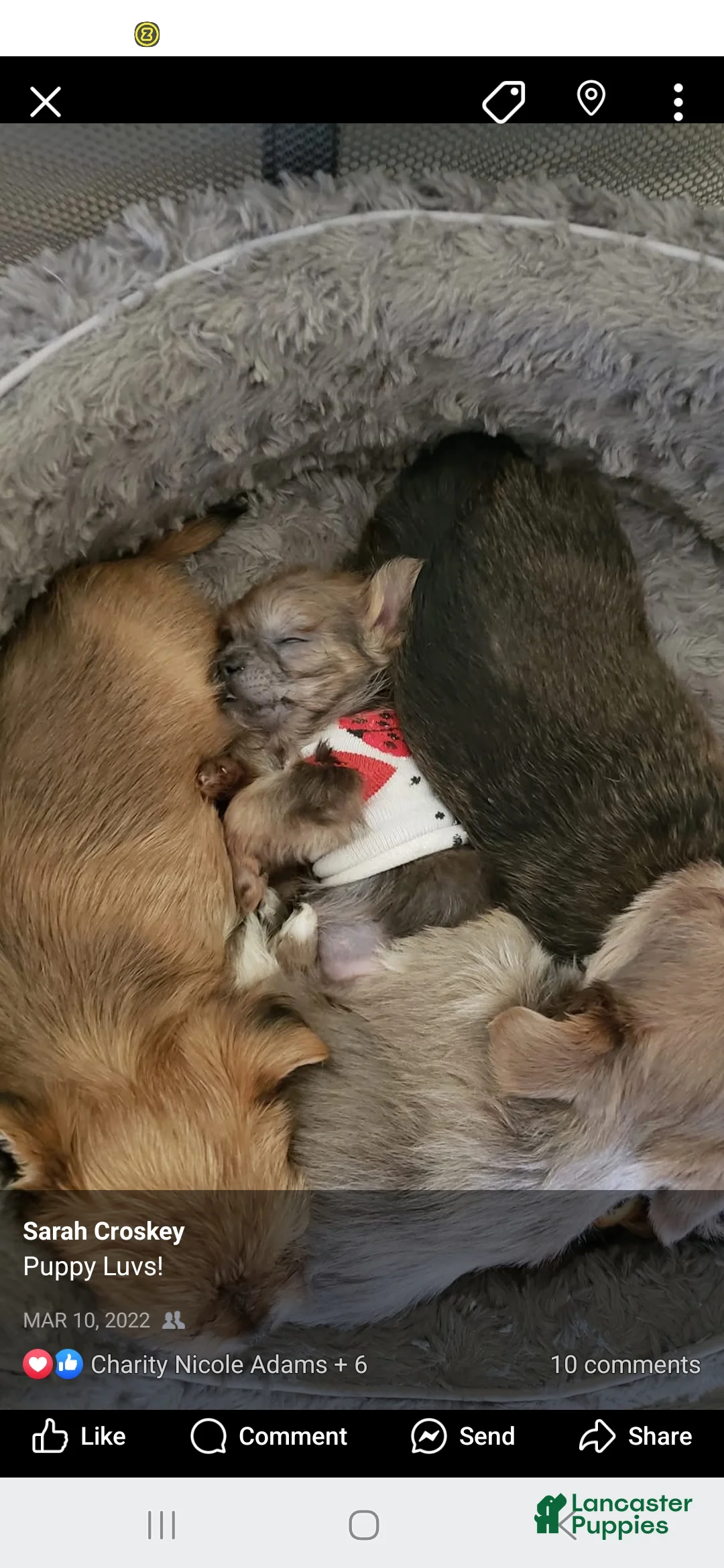 Gallery Image {{count}}