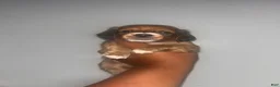 Mixed Breed dogs for sale: Wonder biscuit 🐶 🍞  - Ad 1