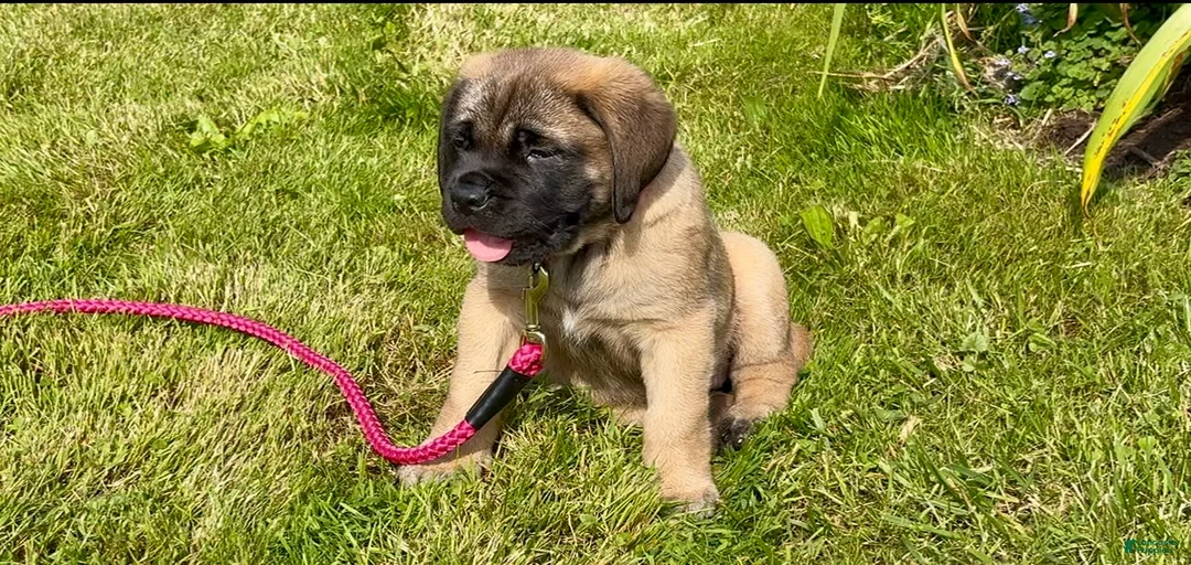 Gallery Image {{count}}