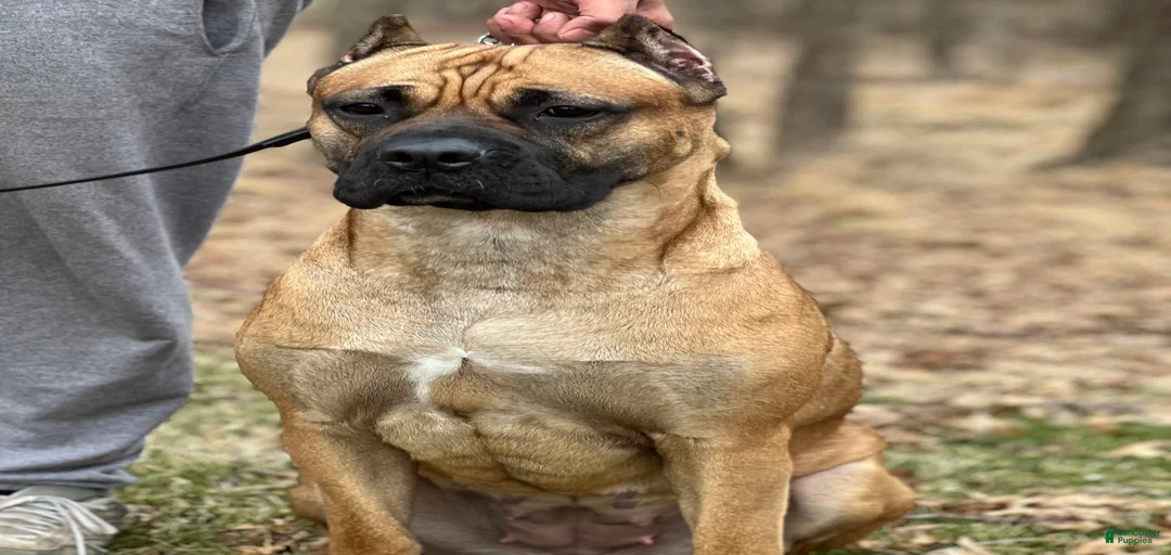 Gallery Image {{count}}