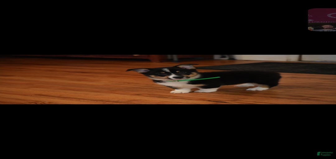 Gallery Image {{count}}