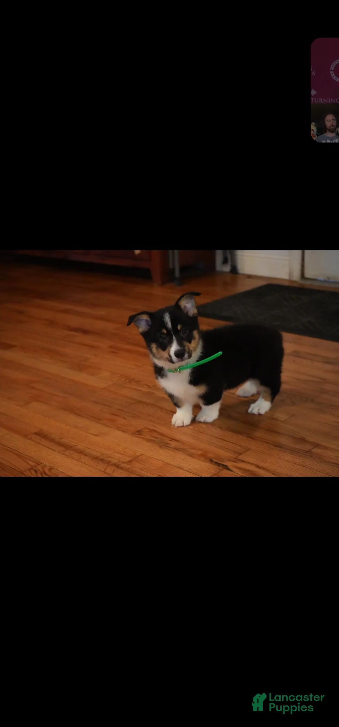 Gallery Image {{count}}