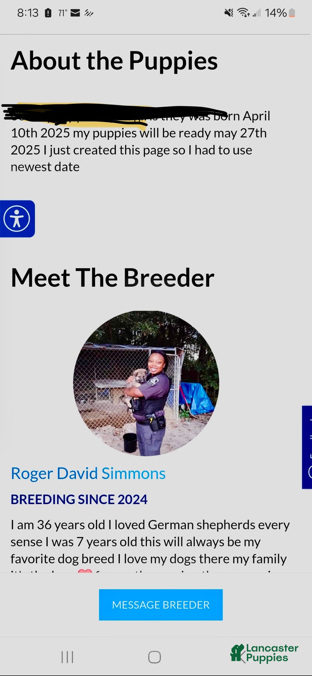 German Shepherd dogs for sale: German Shepherd Puppy 4 - Ad 4