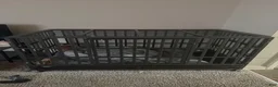 German Shepherd dogs for sale: German Shepherd 1 - Ad 3