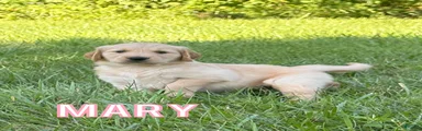 Mary