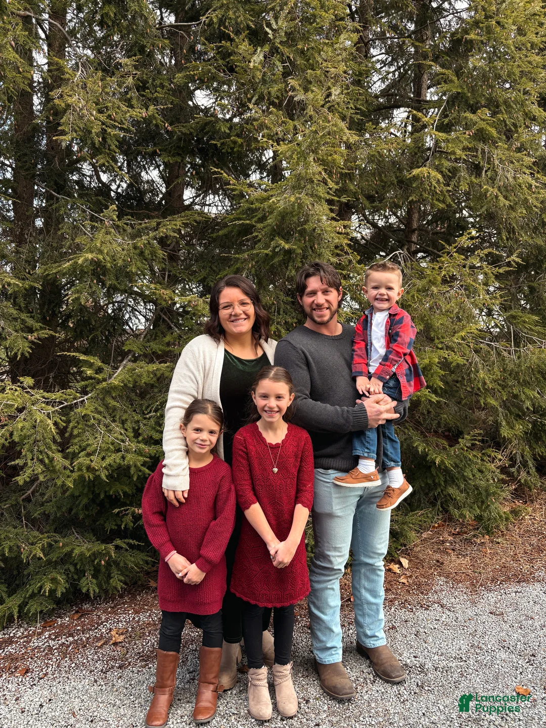 Gallery Image {{count}}