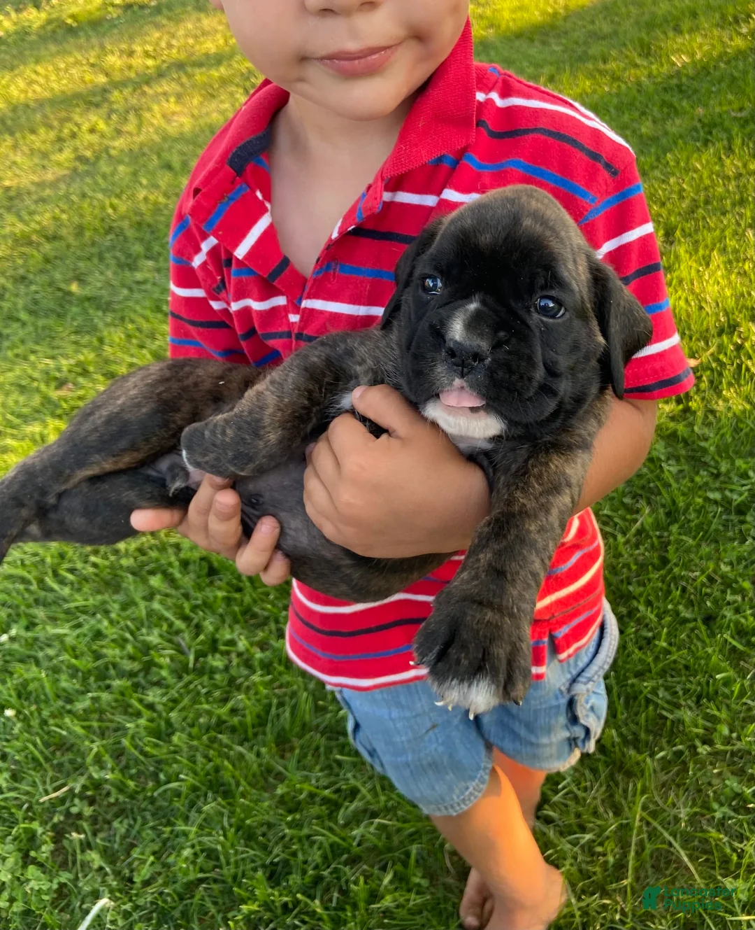 Gallery Image {{count}}