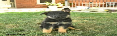 Titan 
