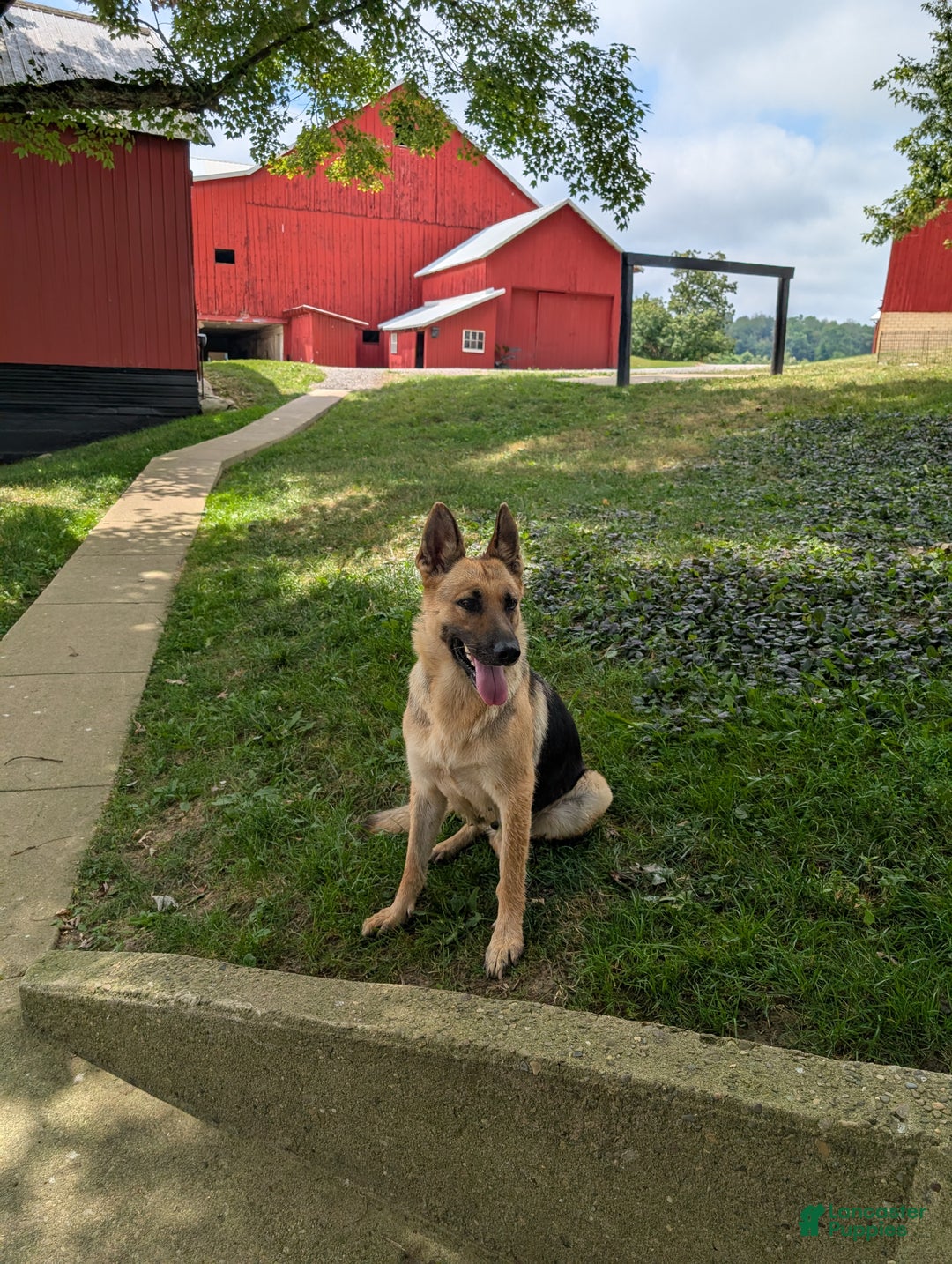 Gallery Image {{count}}