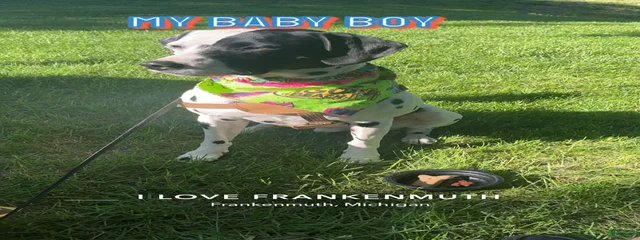 O’Malley 