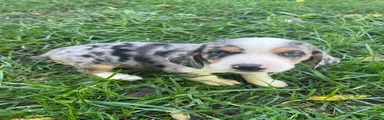 Female #2