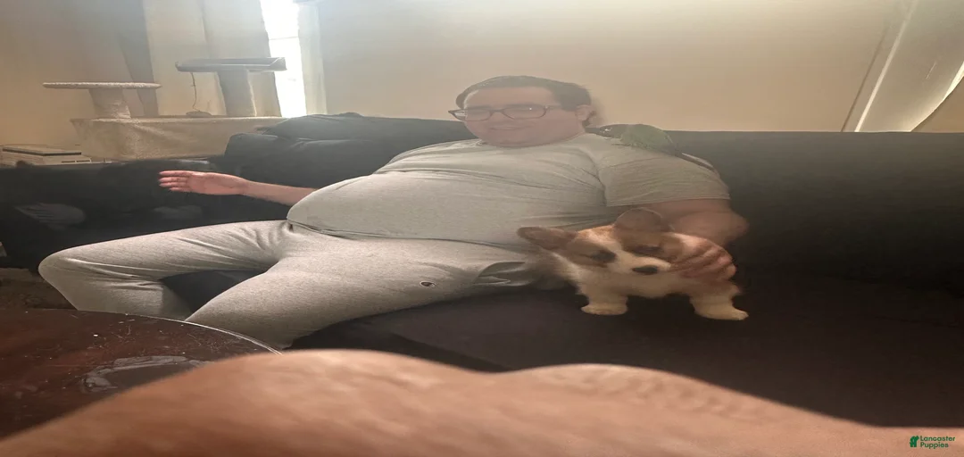 Gallery Image {{count}}