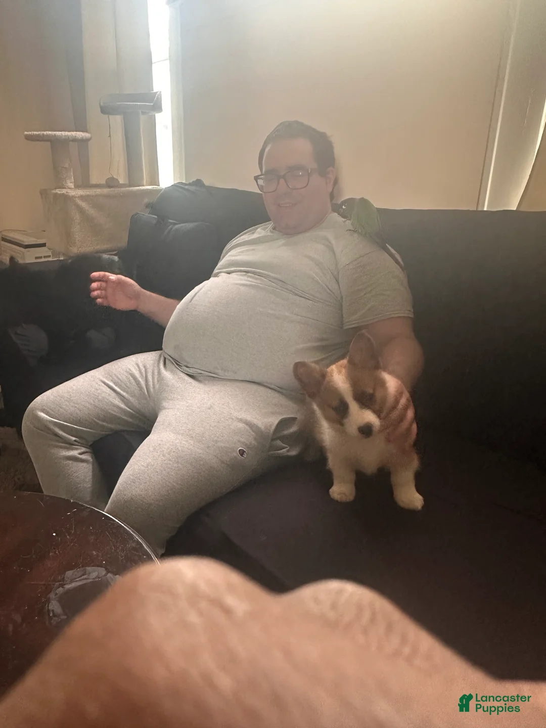 Gallery Image {{count}}