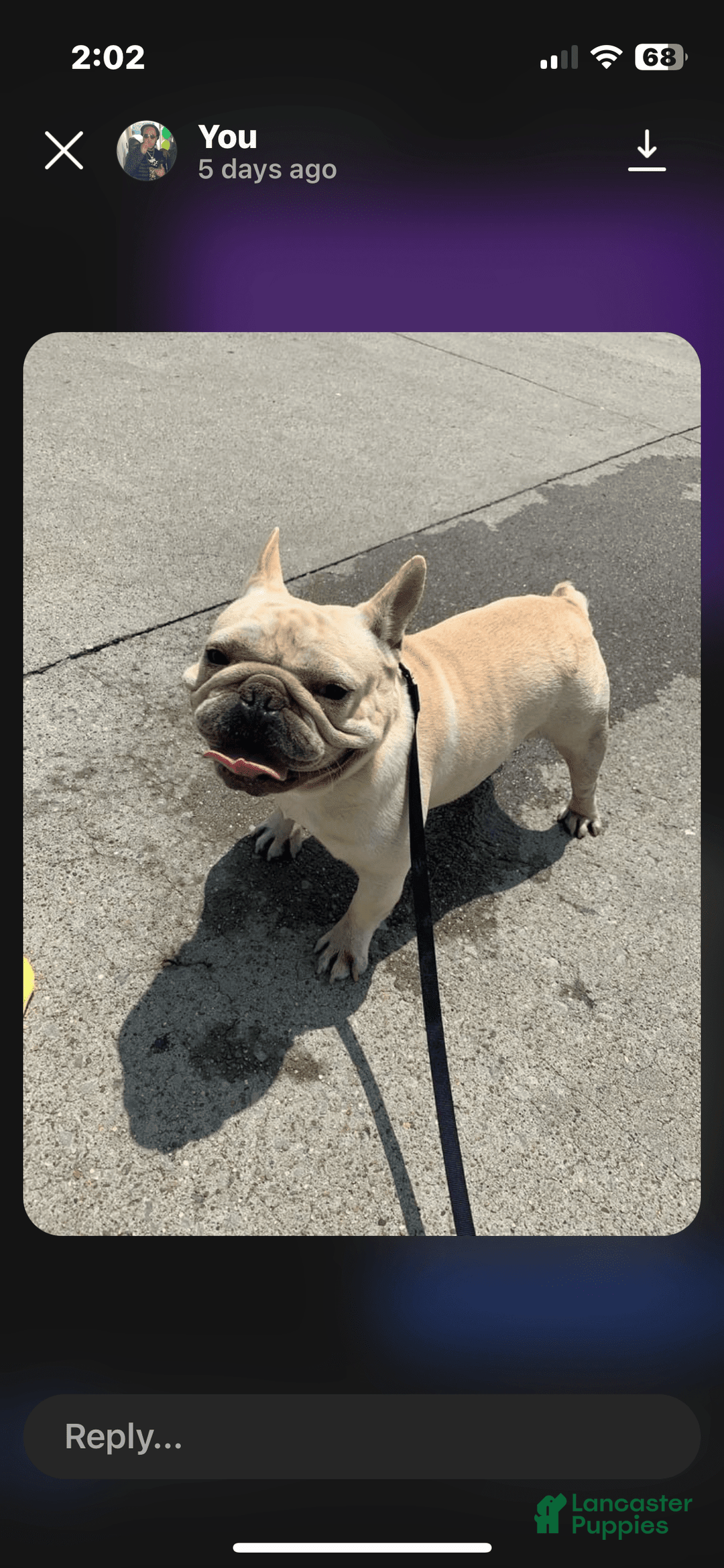 Gallery Image {{count}}