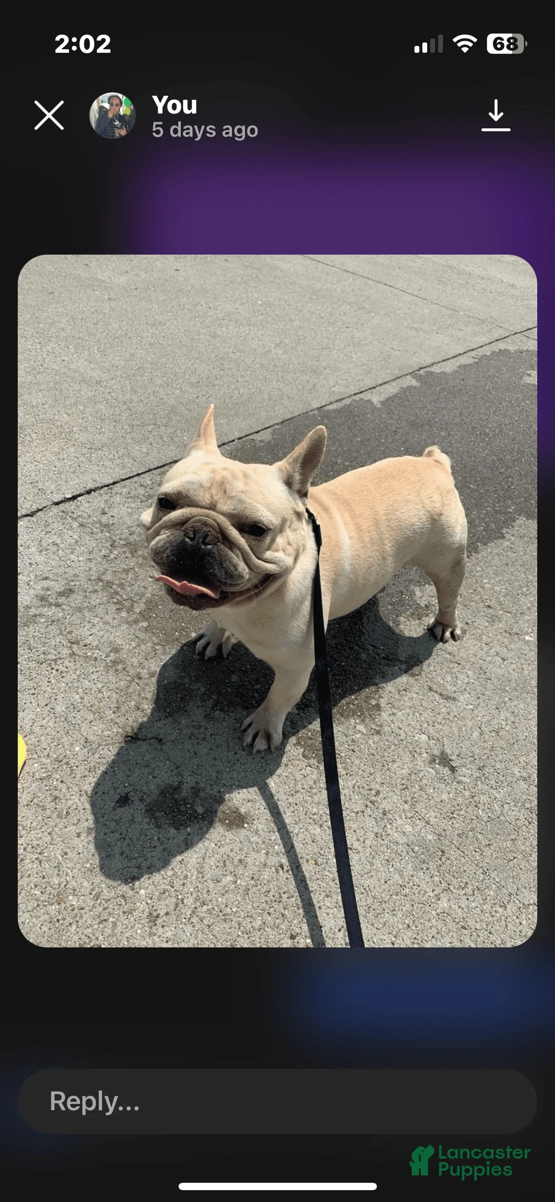 Gallery Image {{count}}