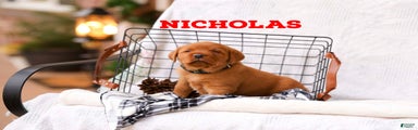 Nicholas
