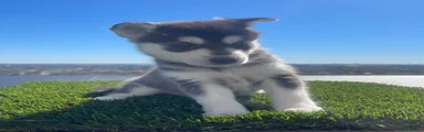 Baela