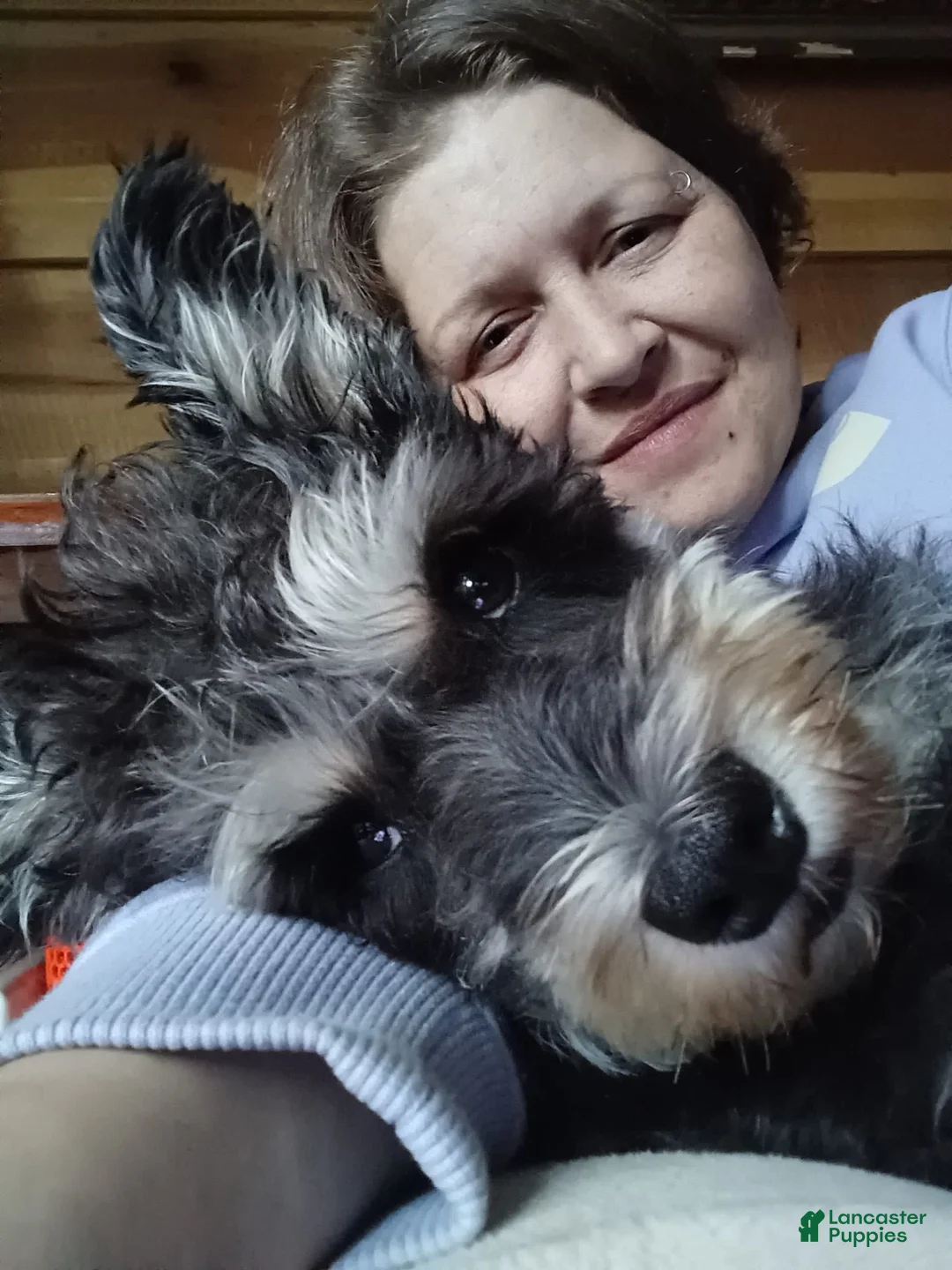 Gallery Image {{count}}