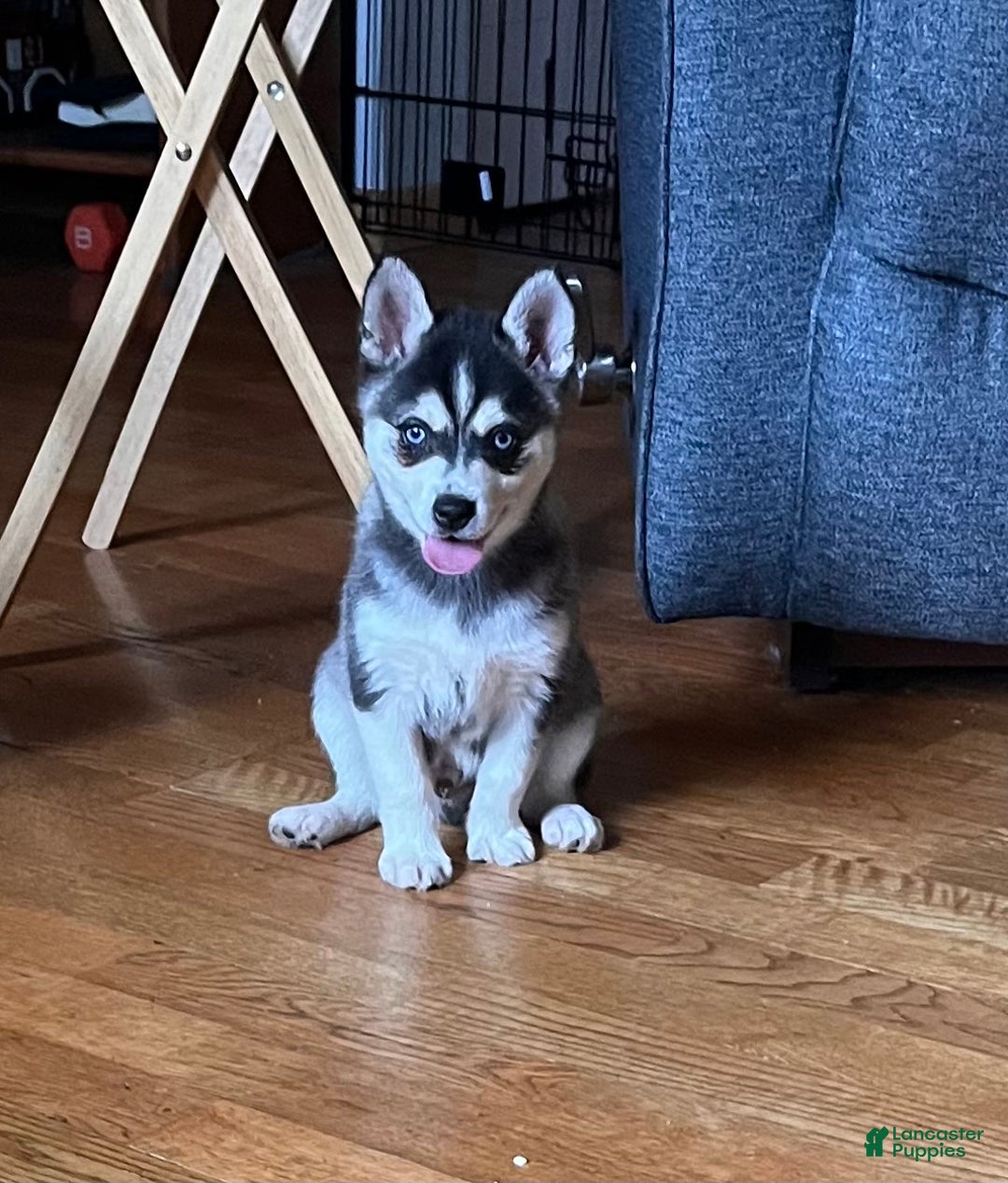 Gallery Image {{count}}