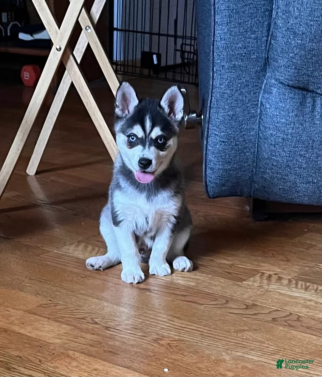 Gallery Image {{count}}