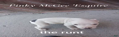 Pinky McGee 'Esquire - The runt of the litter
