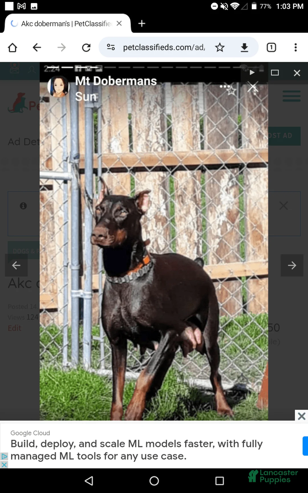 Gallery Image {{count}}