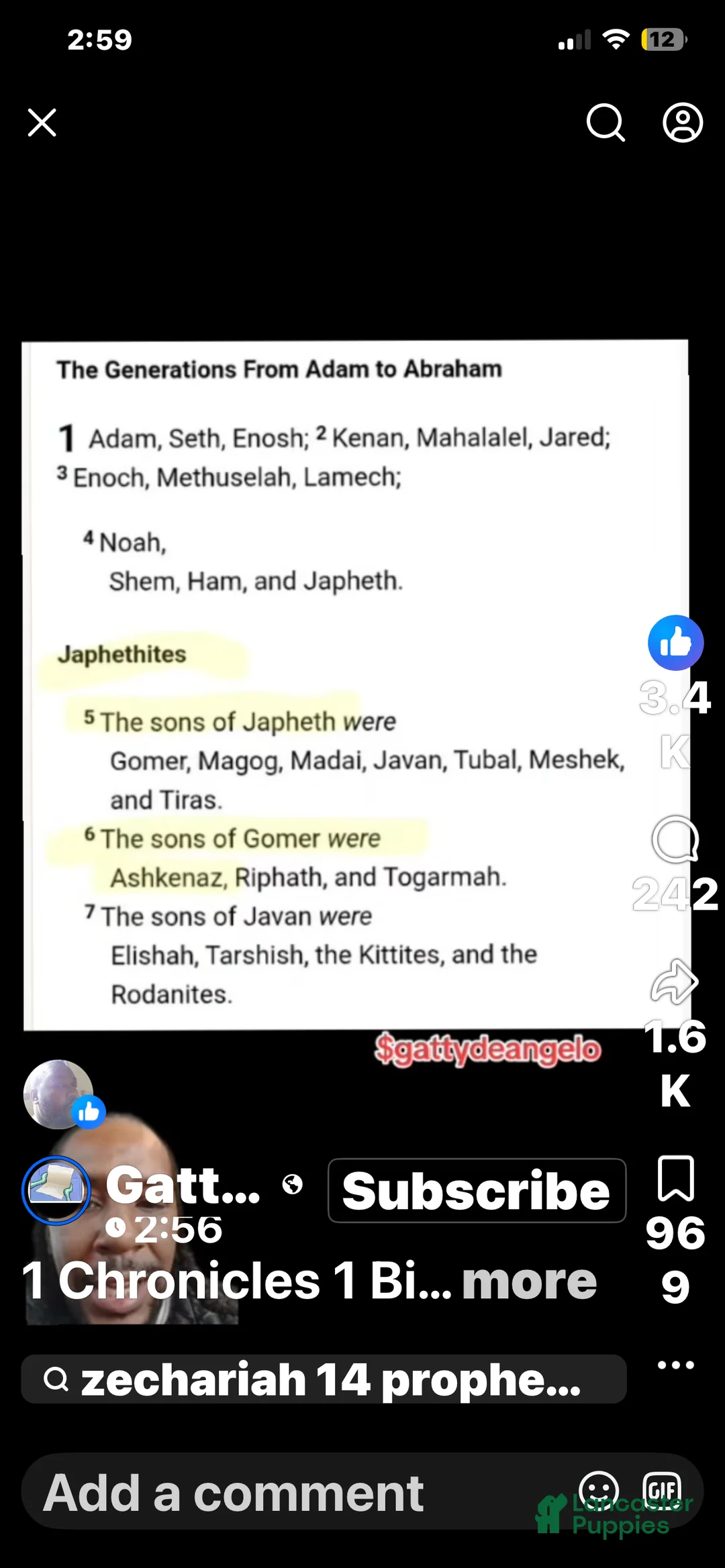 Cane Corso dogs for sale: Cane Corso Puppy 6 - Ad 3