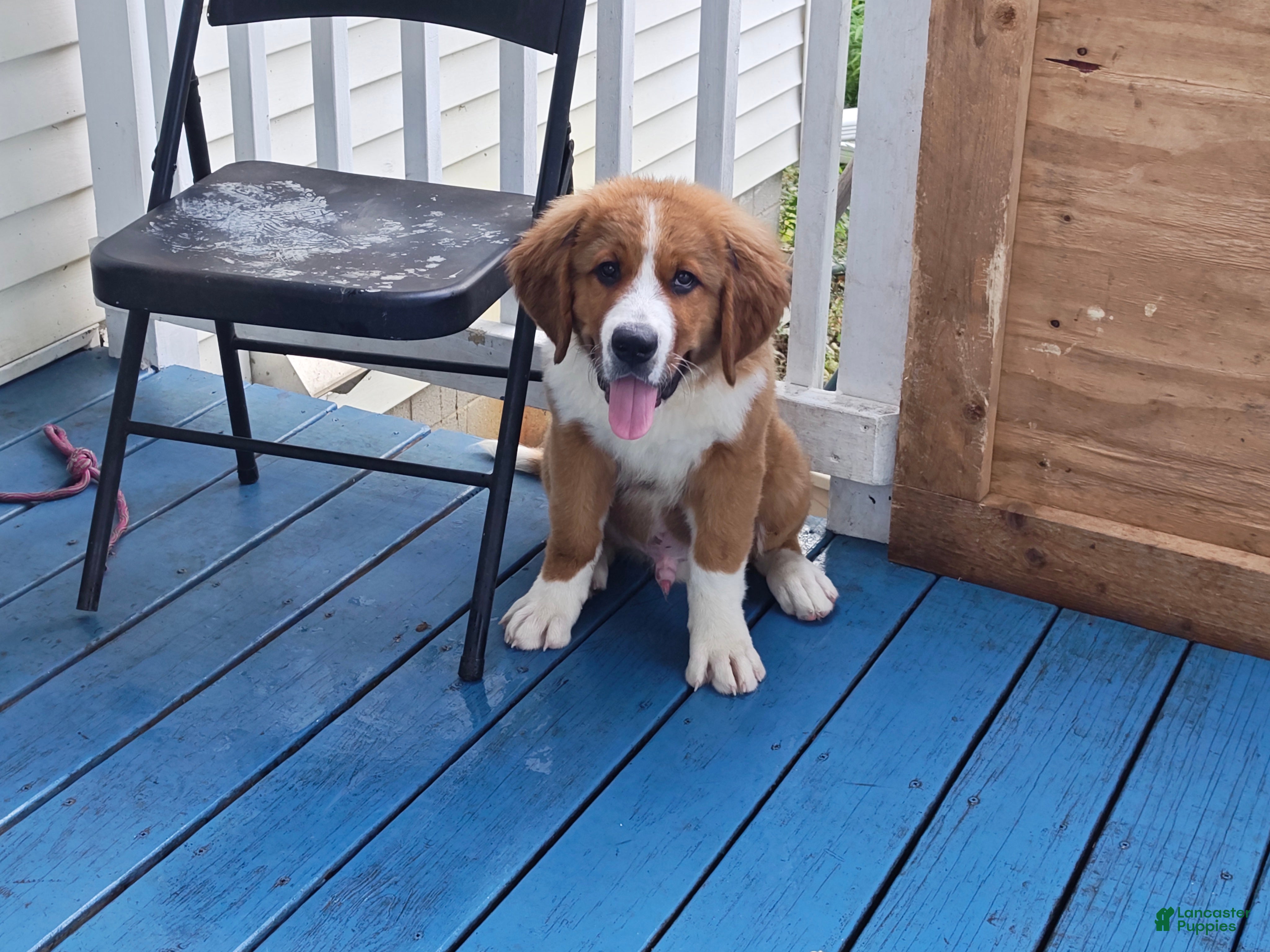 Marley