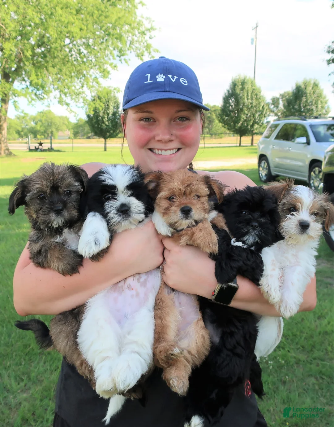 Gallery Image {{count}}