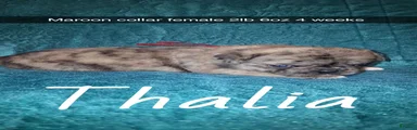 Thalia