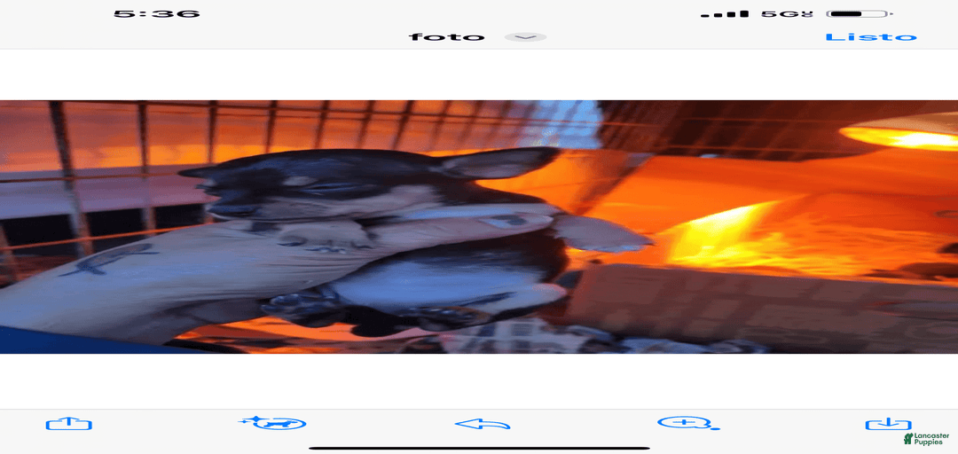 Gallery Image {{count}}