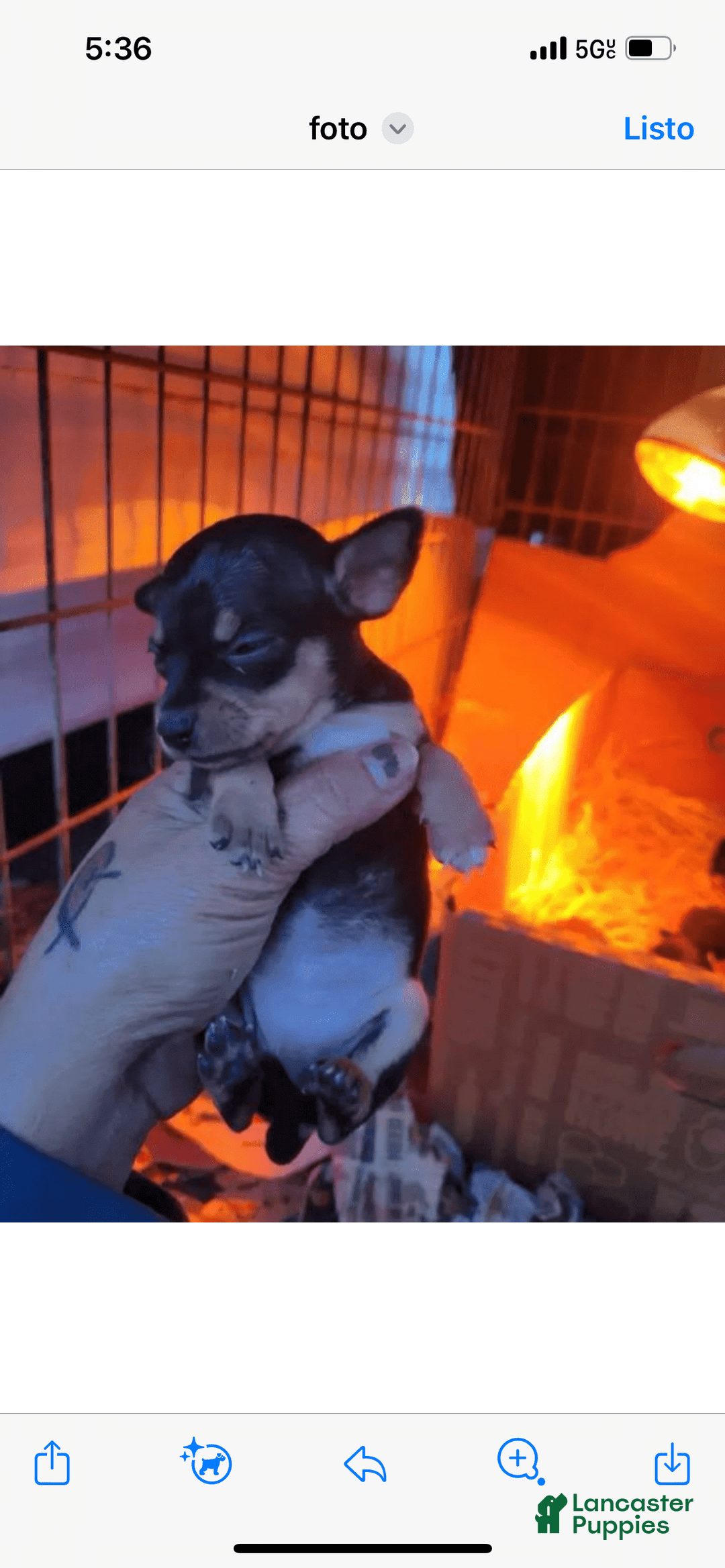 Gallery Image {{count}}