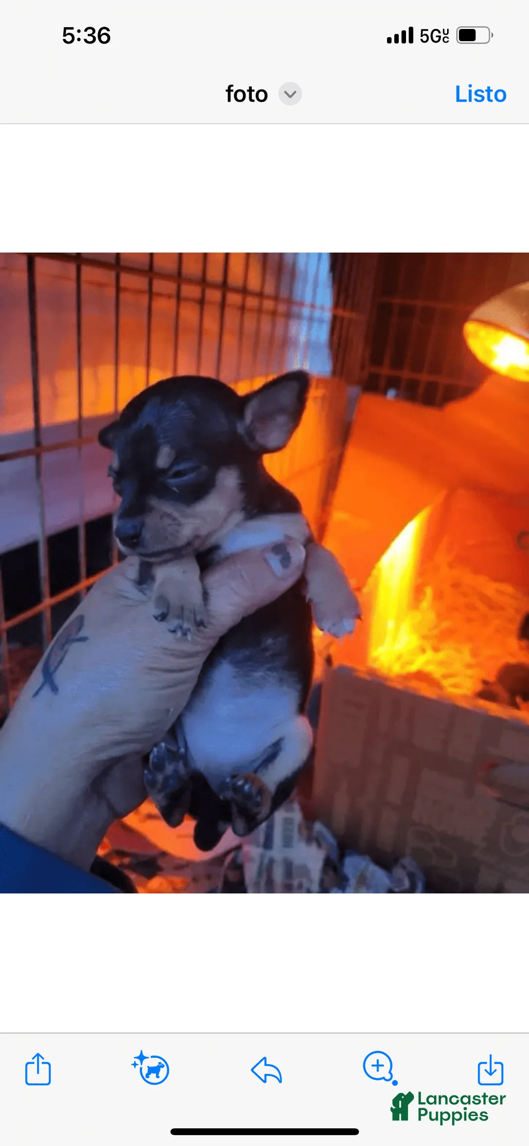 Gallery Image {{count}}