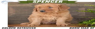 Spencer