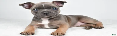 Fiona
