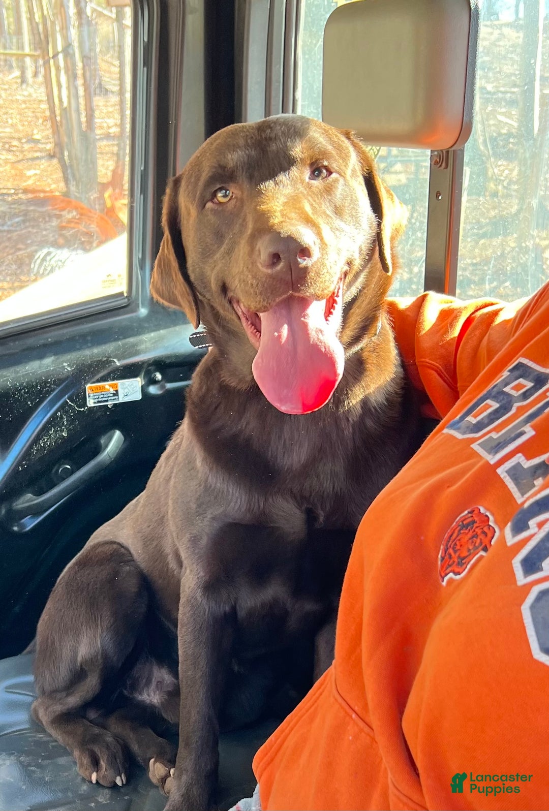 Gallery Image {{count}}